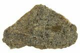 Polished Diogenite Meteorite ( g) Slice - NWA #375702-1